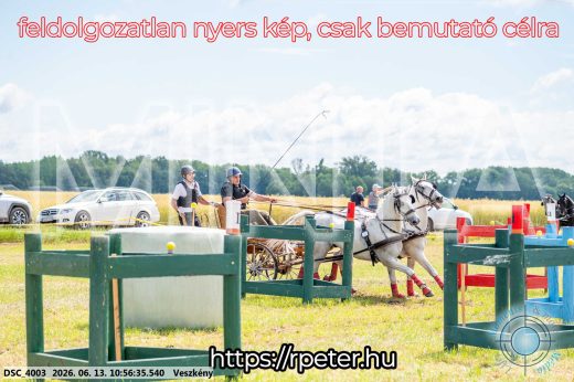 Mintakép 20260613-287