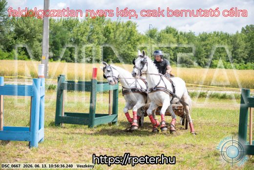 Mintakép 20260613-288