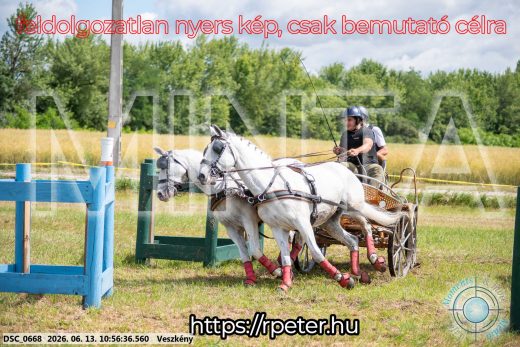 Mintakép 20260613-289
