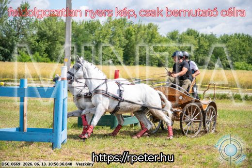 Mintakép 20260613-290