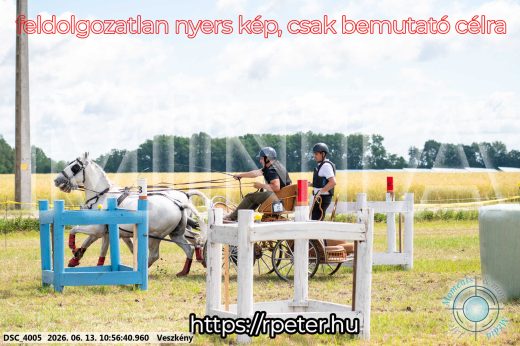 Mintakép 20260613-292