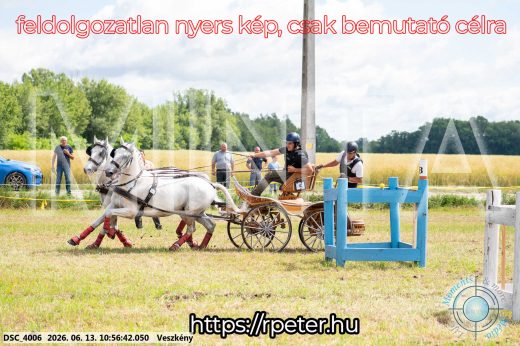 Mintakép 20260613-293