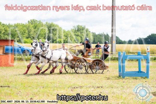 Mintakép 20260613-294