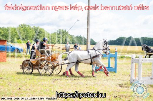 Mintakép 20260613-296