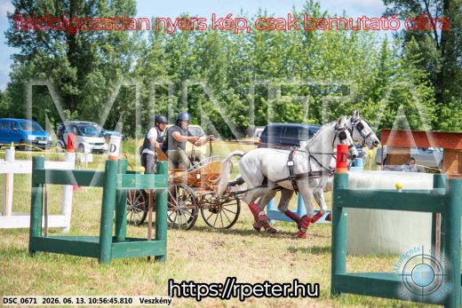Mintakép 20260613-297