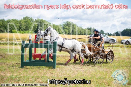 Mintakép 20260613-302