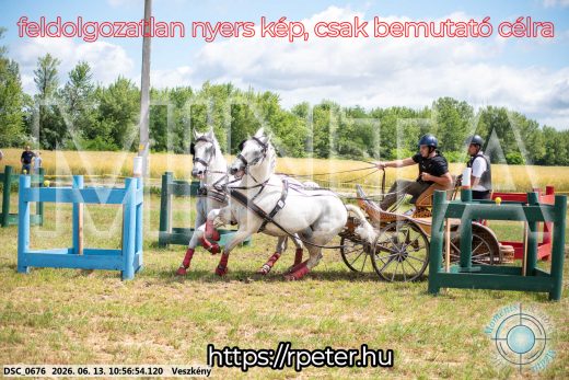 Mintakép 20260613-303