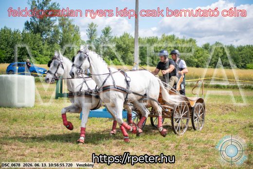 Mintakép 20260613-306