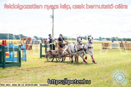 Mintakép 20260613-307