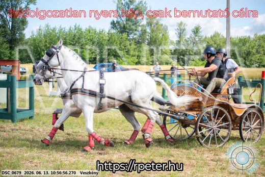 Mintakép 20260613-308