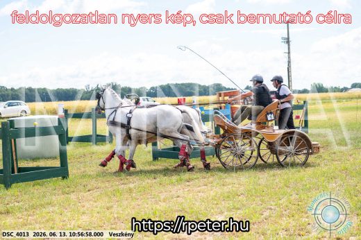 Mintakép 20260613-310