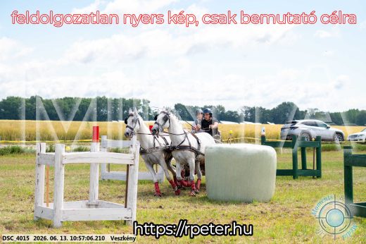 Mintakép 20260613-313