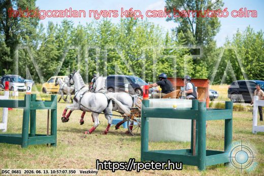 Mintakép 20260613-314