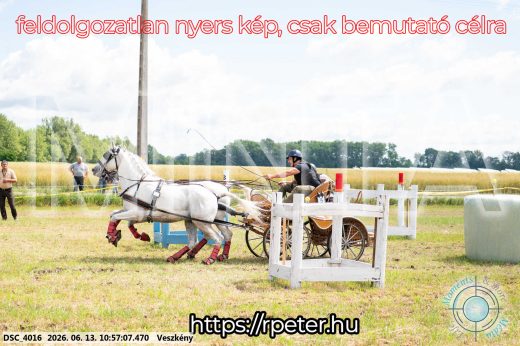 Mintakép 20260613-315