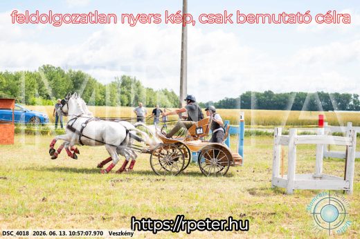 Mintakép 20260613-317
