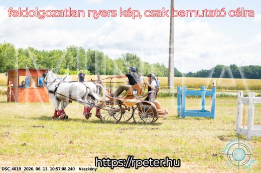 Mintakép 20260613-318