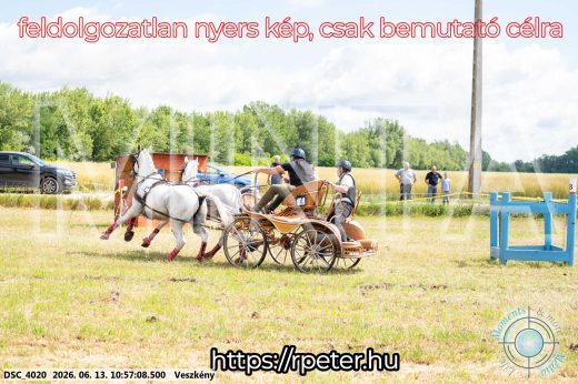 Mintakép 20260613-319
