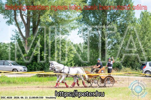 Mintakép 20260613-320