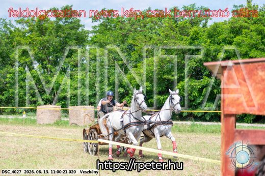 Mintakép 20260613-321