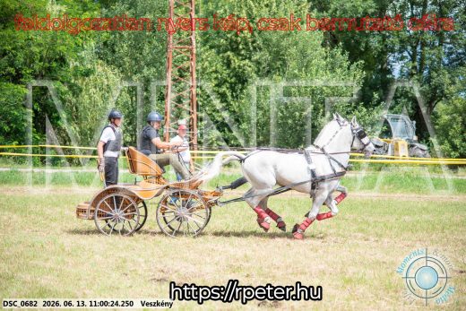 Mintakép 20260613-324