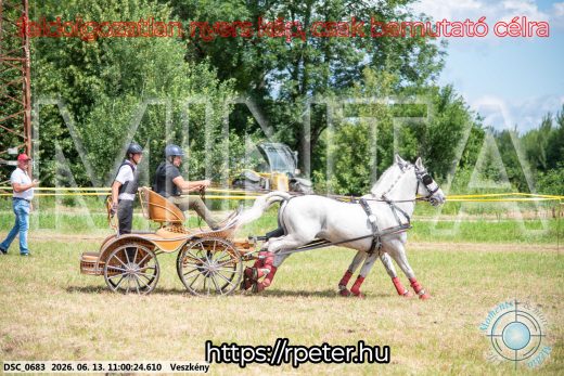 Mintakép 20260613-325