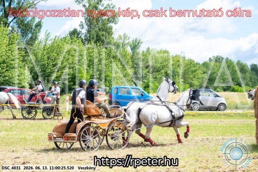 Mintakép 20260613-327
