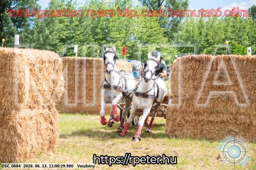 Mintakép 20260613-328
