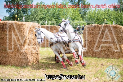 Mintakép 20260613-330