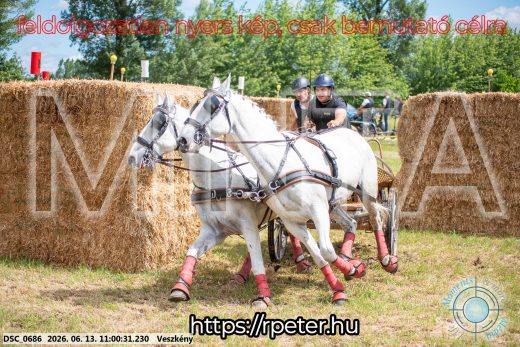 Mintakép 20260613-331