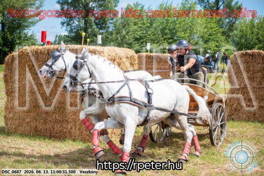 Mintakép 20260613-332