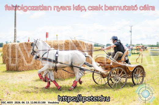 Mintakép 20260613-334