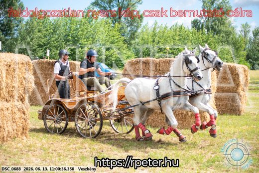 Mintakép 20260613-335