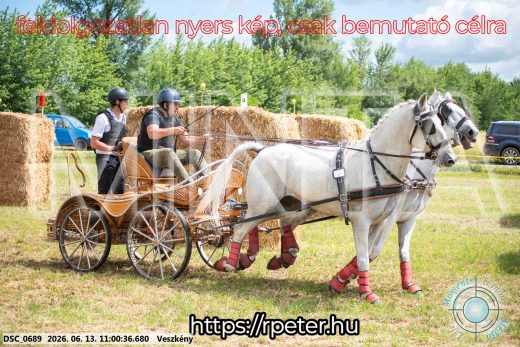 Mintakép 20260613-336