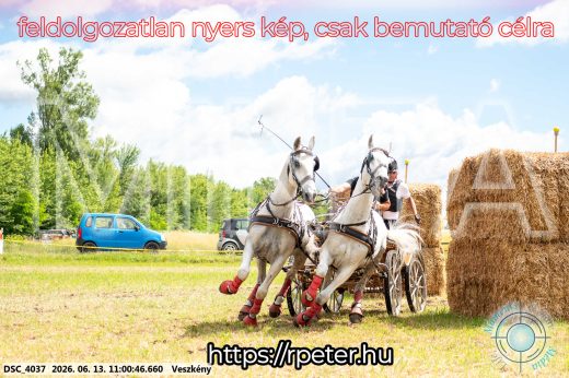Mintakép 20260613-480