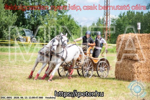 Mintakép 20260613-481