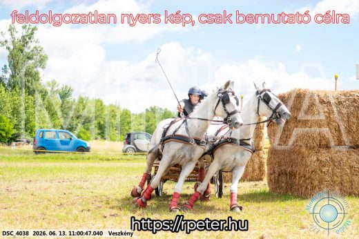 Mintakép 20260613-482