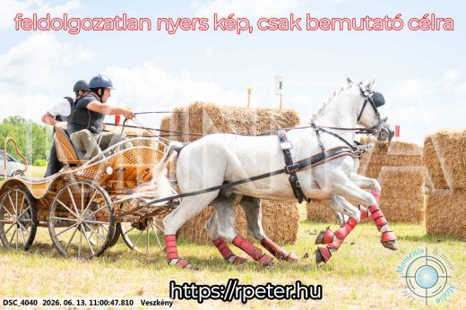 Mintakép 20260613-483
