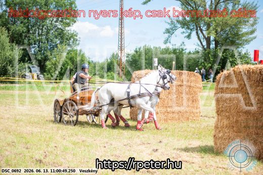 Mintakép 20260613-485