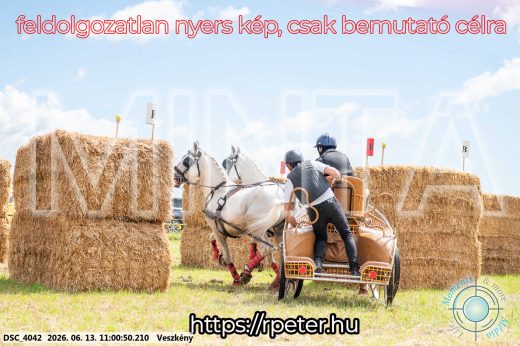 Mintakép 20260613-486