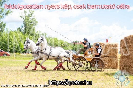Mintakép 20260613-487