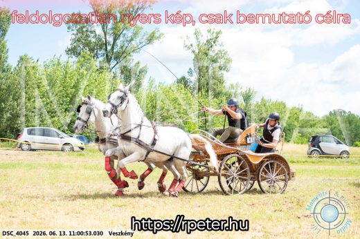 Mintakép 20260613-490