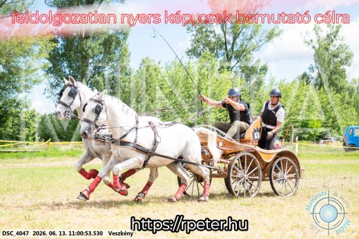 Mintakép 20260613-491