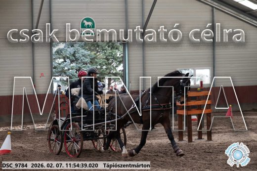 Mintakép 20260207-5