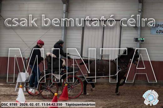 Mintakép 20260207-6