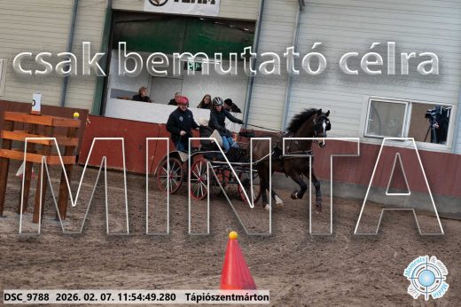 Mintakép 20260207-8