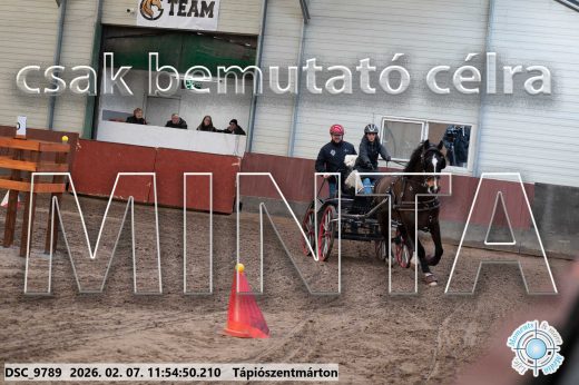 Mintakép 20260207-9