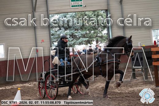 Mintakép 20260207-10