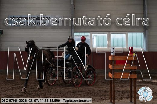 Mintakép 20260207-14