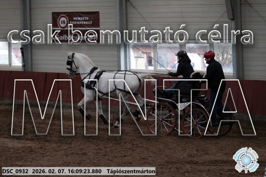 Mintakép 20260207-19