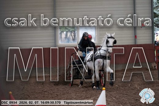 Mintakép 20260207-21